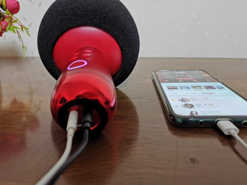 唱吧小巨蛋g2麦克风和g3的区别,唱吧小巨蛋麦克风g2使用