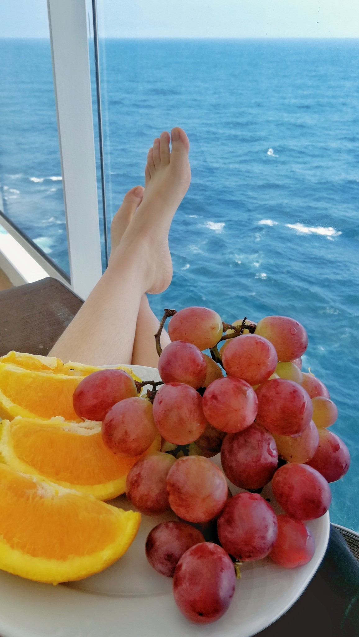 海上养猪场邮轮,海洋光谱号邮轮海上养猪场