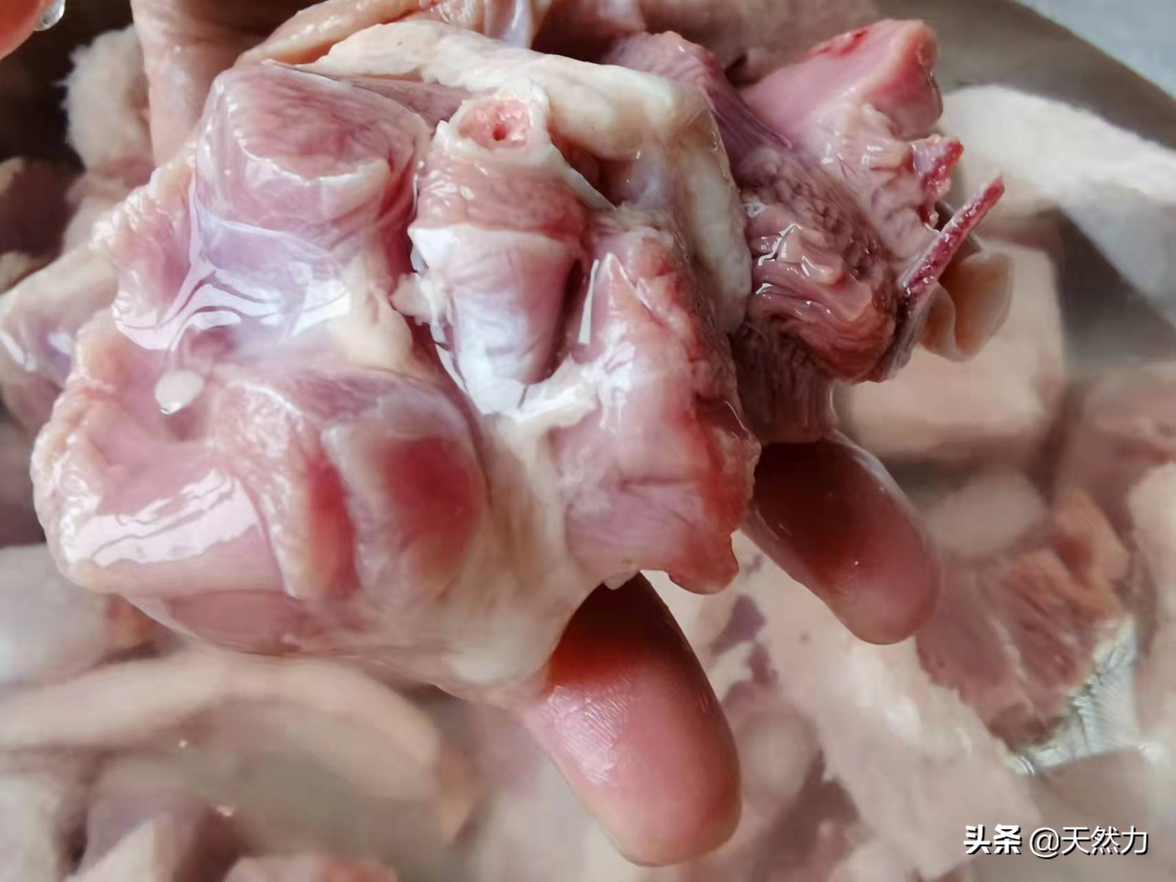 干锅鸭正宗做法,干锅鸭正宗的做法