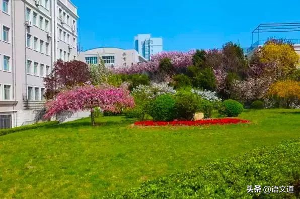 大连十大中学排行榜,大连所有中学名单