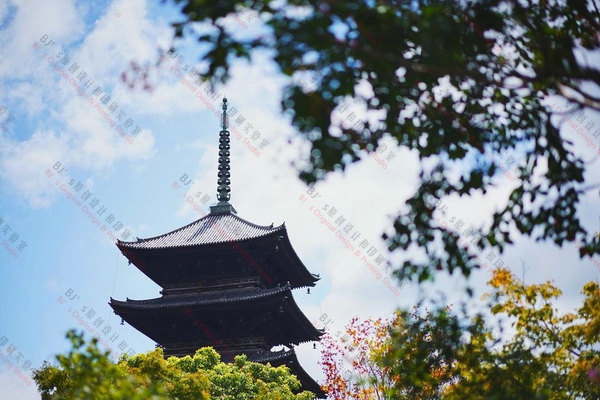 日本之旅重要感受,日本之行感悟