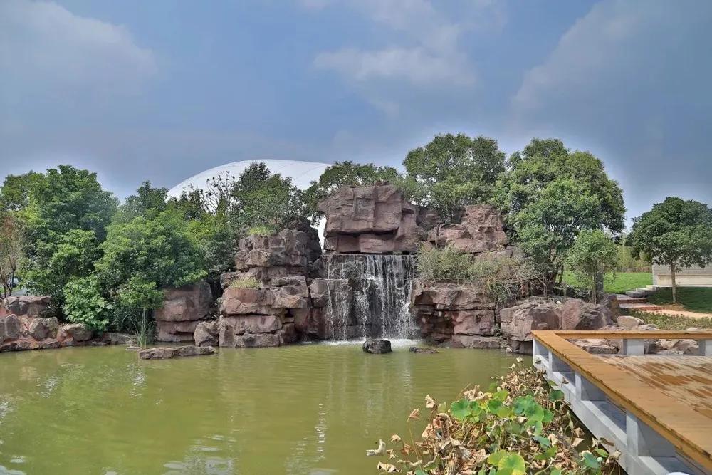 被称为沪上传奇校长,她说出了这所学校在三年内成为黑马的原因