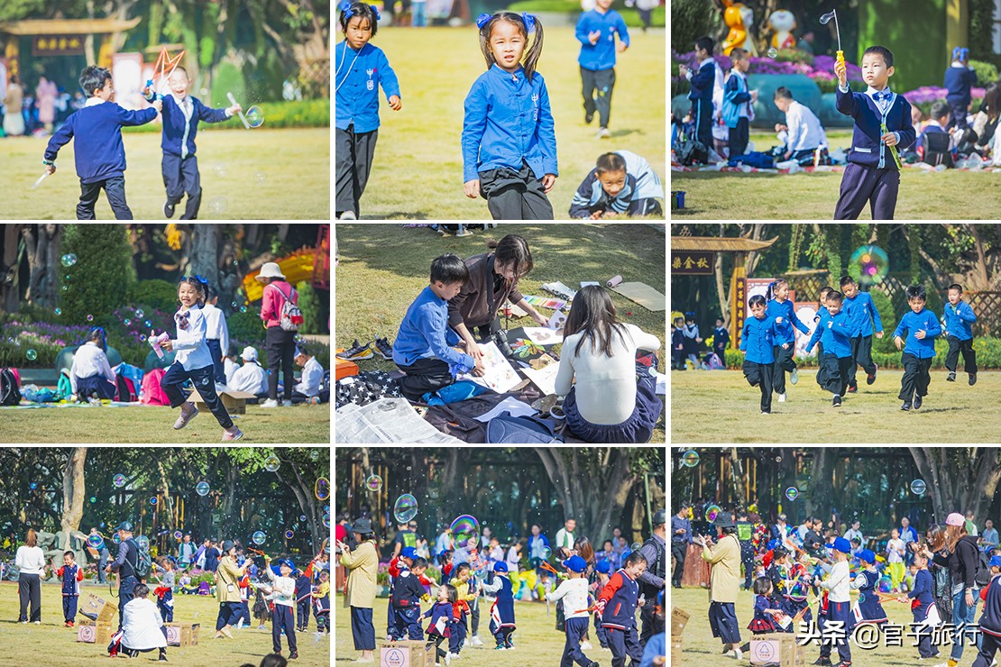 再游青秀山，看“熊猫级”国宝苏铁王，只为千年等一回的告别