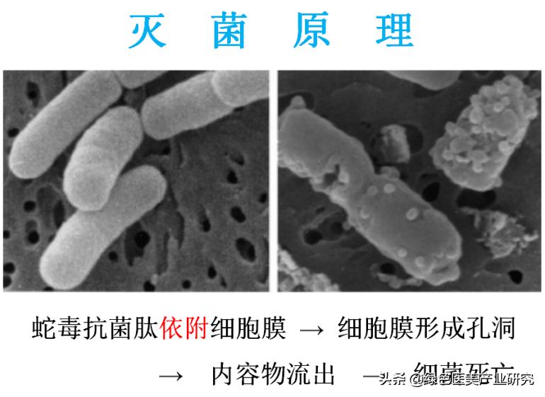 祛痘干货指南如何养成不长痘肤质,最全祛痘方法针对各种痘痘