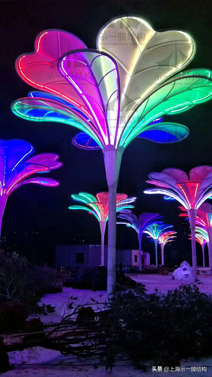 展开说说出自哪里,展开说说内容