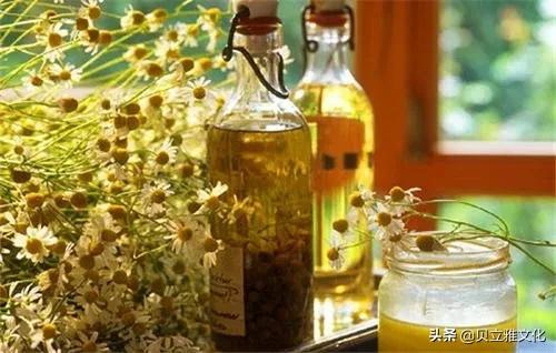 护肤植物精油有什么功效,洋甘菊护肤品的功效与作用