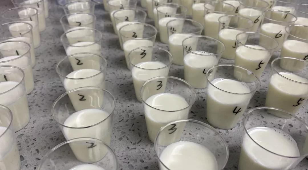 口碑最好的十款奶粉都是什么,20款知名奶粉深度测评