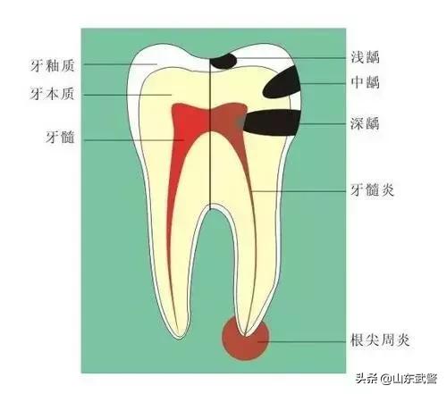 医生口腔健康知识宣教,牙齿健康知识科普宣教