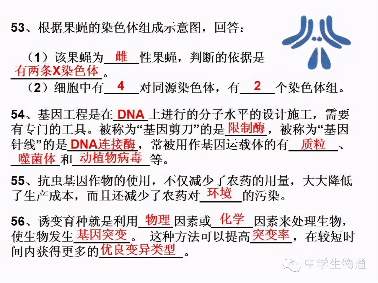 高中生物复习资料必修一,高中生物复习资料大全2019