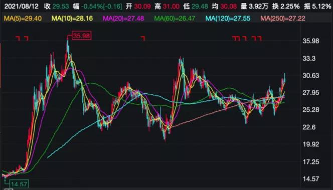 林园2023重仓持仓股票一览表,2020年一季度林园重仓股a股一览表