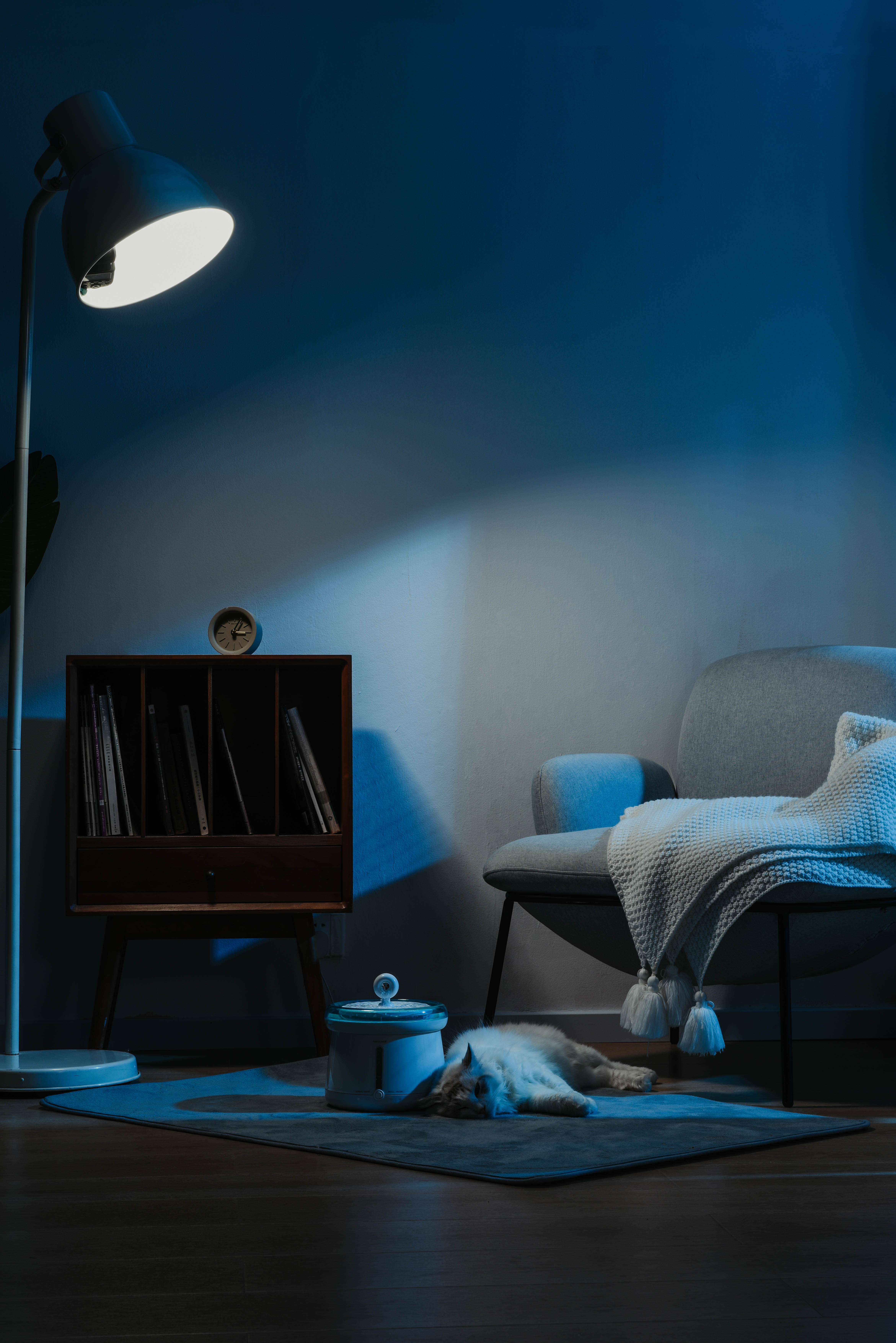 猫智能饮水器智商税,检测宠物饮水量的饮水机