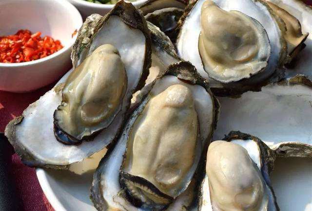 韶关哪里有生蚝吃,韶关市去哪里能吃到好的海鲜