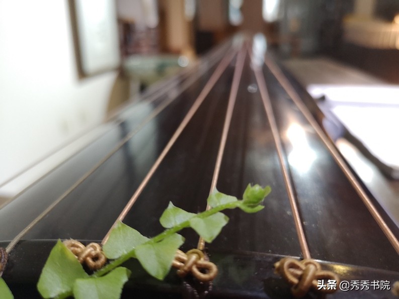 闀垮畨闆呭＋,闀垮畨闆呭＋娣卞害瑙ｆ瀽