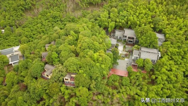 江西森林马拉松赛大余站第一名,江西森林马拉松系引赛靖安站