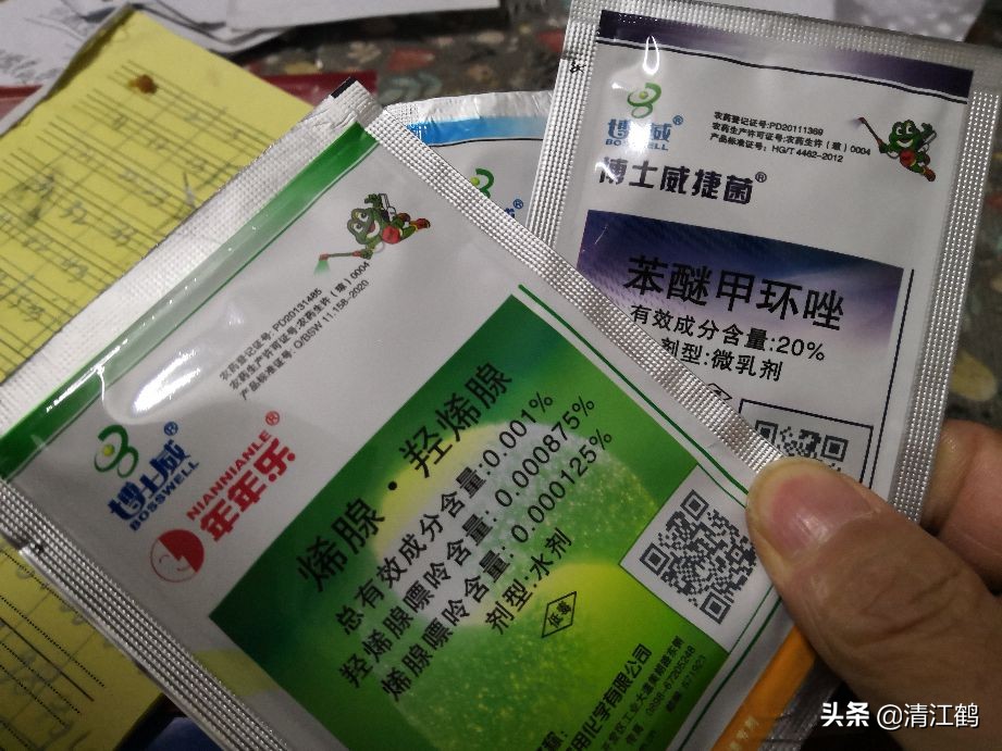 水稻立枯病和青枯病的区别是什么,水稻立枯病和青枯病用什么药防治