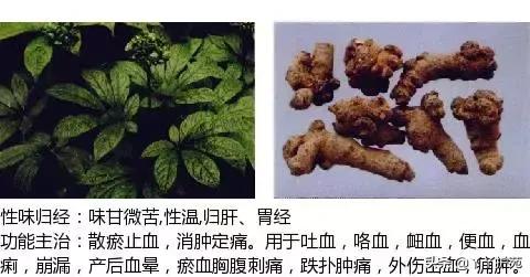 农村身边的中草药主治与功效,中草药全图谱与功效