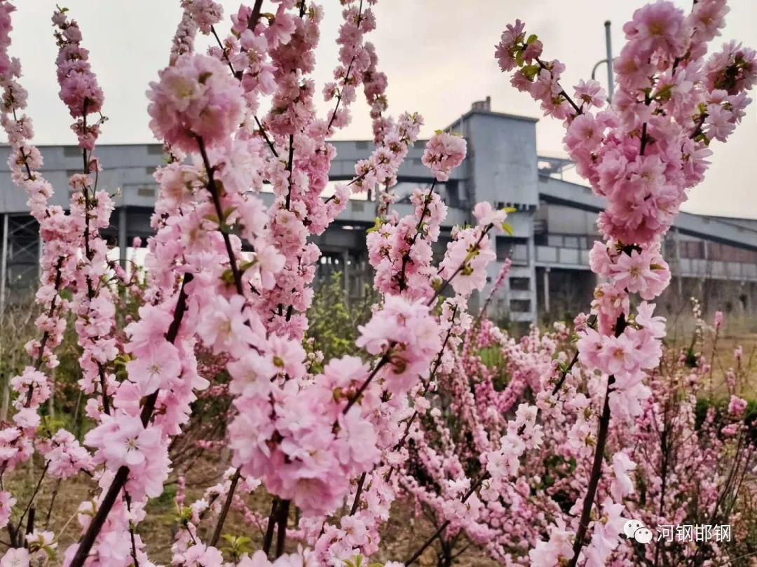 娌抽挗閭挗閾佽矾,娌抽挗閭挗楂樼倝