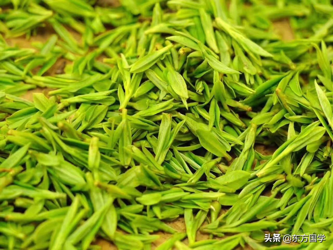 漫漫问茶路,能不忆江南?——久负盛名的“香郁若兰”