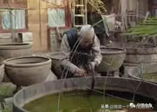 老北京古法养鱼盆,古法养鱼盆推荐