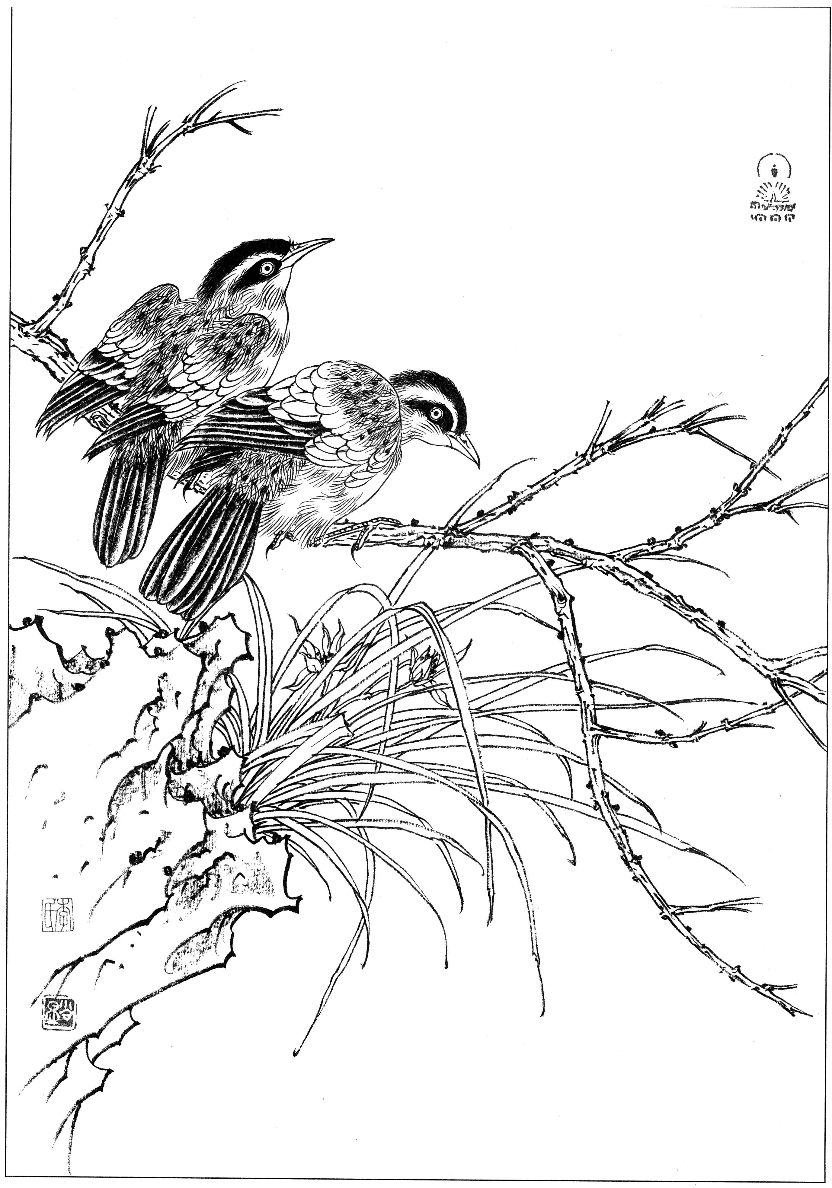 花鸟工笔四条屏白描高清大图,牡丹六尺横幅白描工笔花鸟底稿