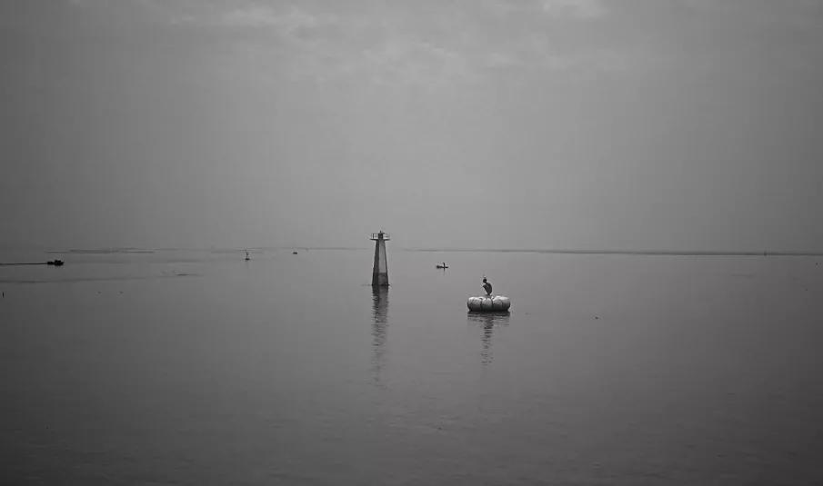 渡人渡心渡自己下一句是什么,渡人渡心渡自己啥意思