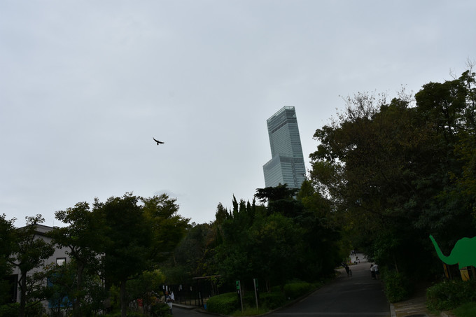 日本地铁真实报站,日本的地铁报站