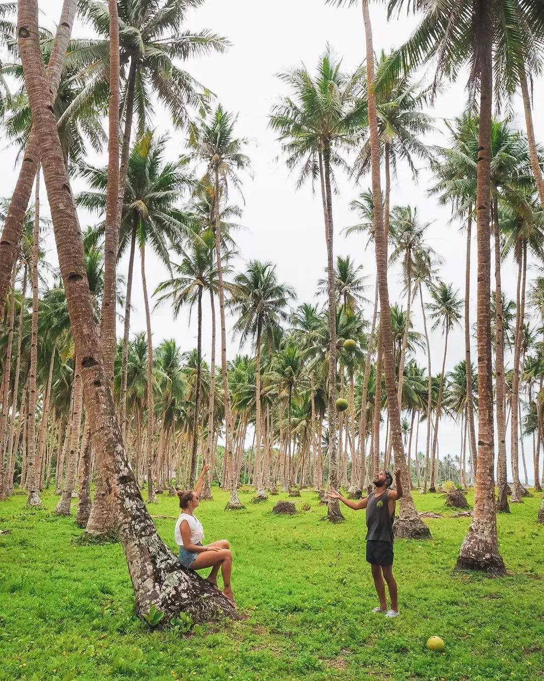 爱在旅途旅行,你有没有想过放下一切去旅行
