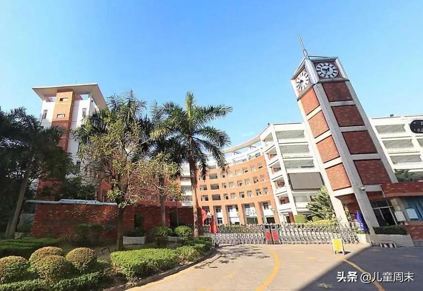 深圳龙岗布吉哪个小学比较好,深圳龙岗保安小学怎么样
