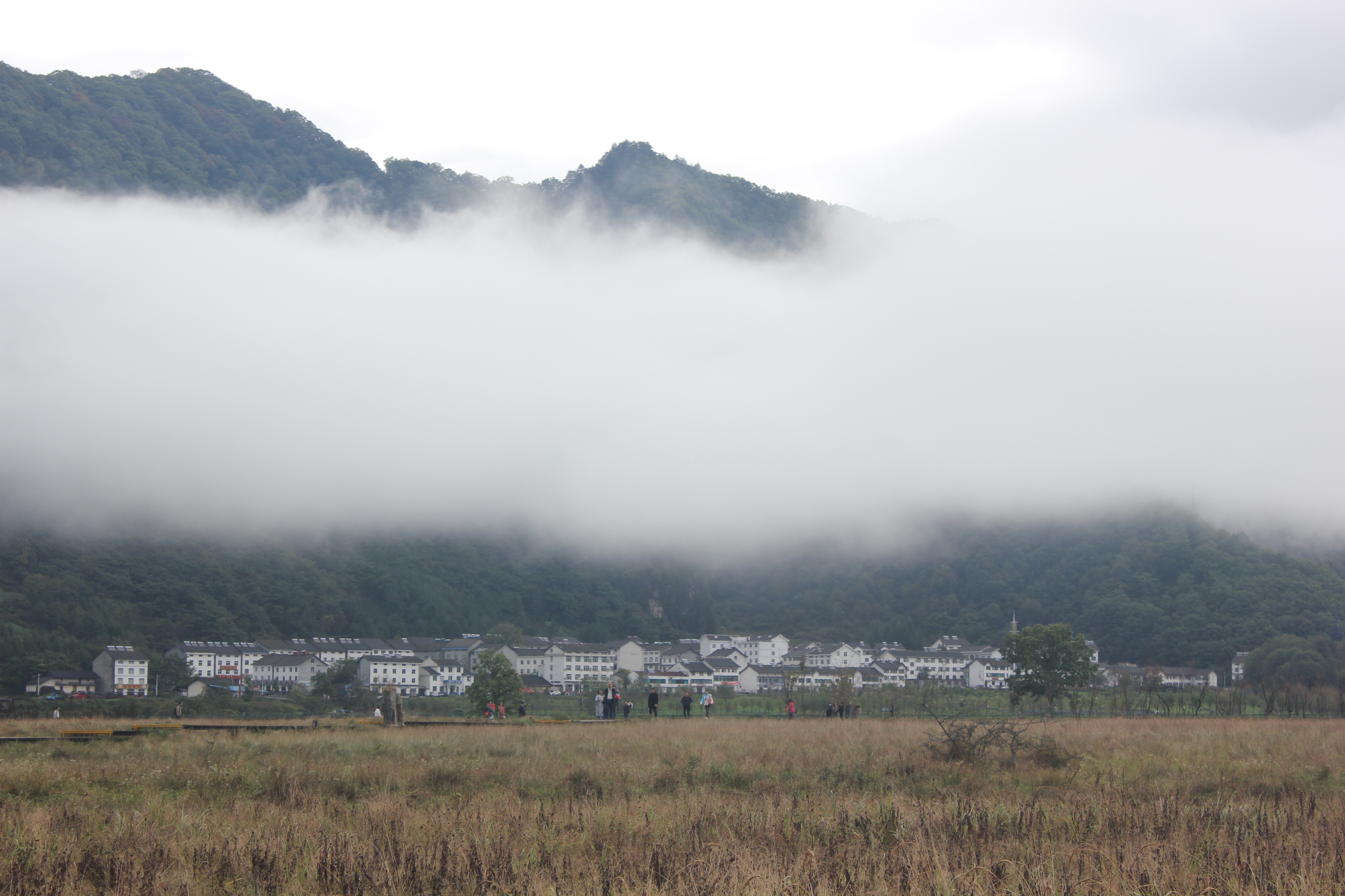 雨中神农架探秘之旅｜国庆节武汉至神农架自驾游攻略分享