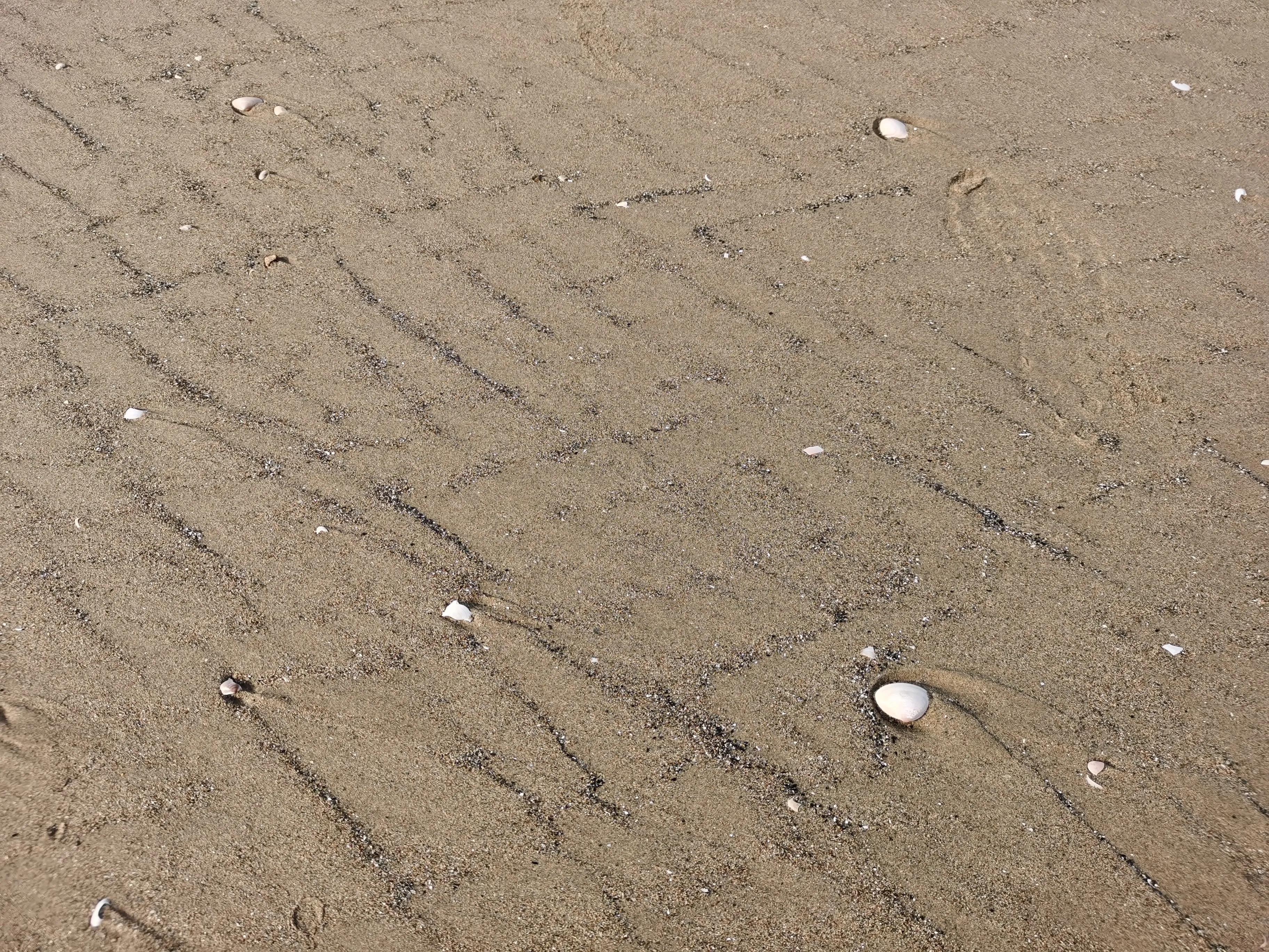 长乐漳港南澳海滩,长乐海边漳港