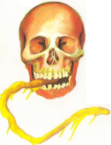 晓月圆舞曲bossrush掉什么,游戏攻略晓月圆舞曲