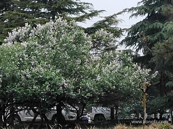 想要做生意有什么方法,怎样给店铺做店招