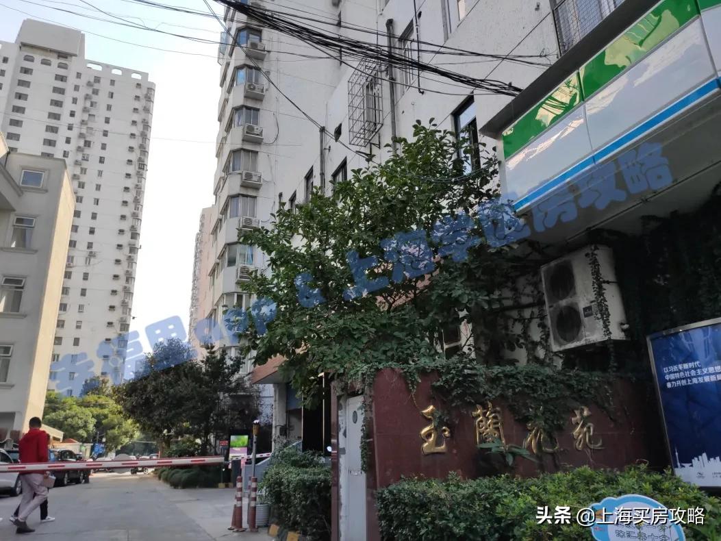 徐汇四大公办小学对比,上海汇师小学和分校