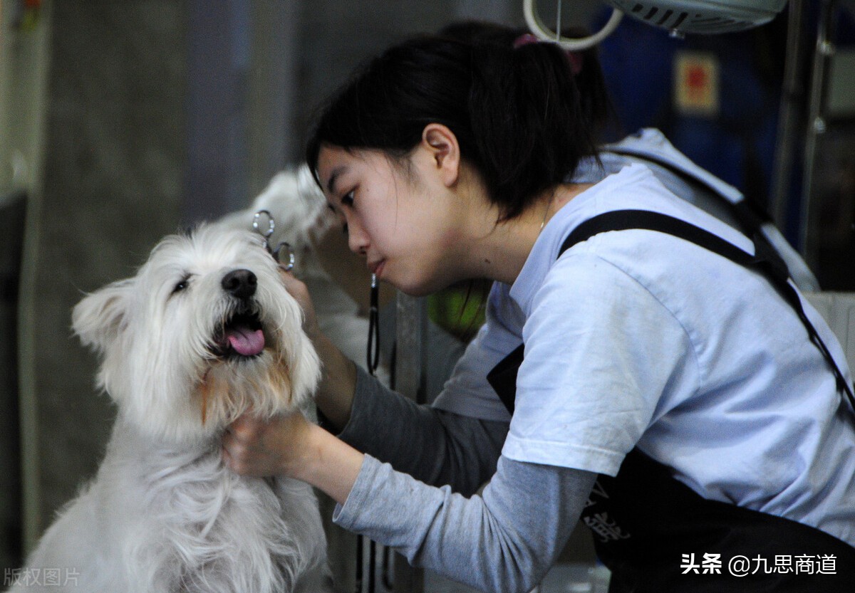 60后大叔开宠物店：推出充3000送3000返3000，14天吸引800名会员