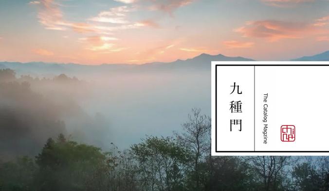 纵豆蔻词工青楼梦好难赋深情出处,纵豆蔻词工青楼梦好难赋深情赏析