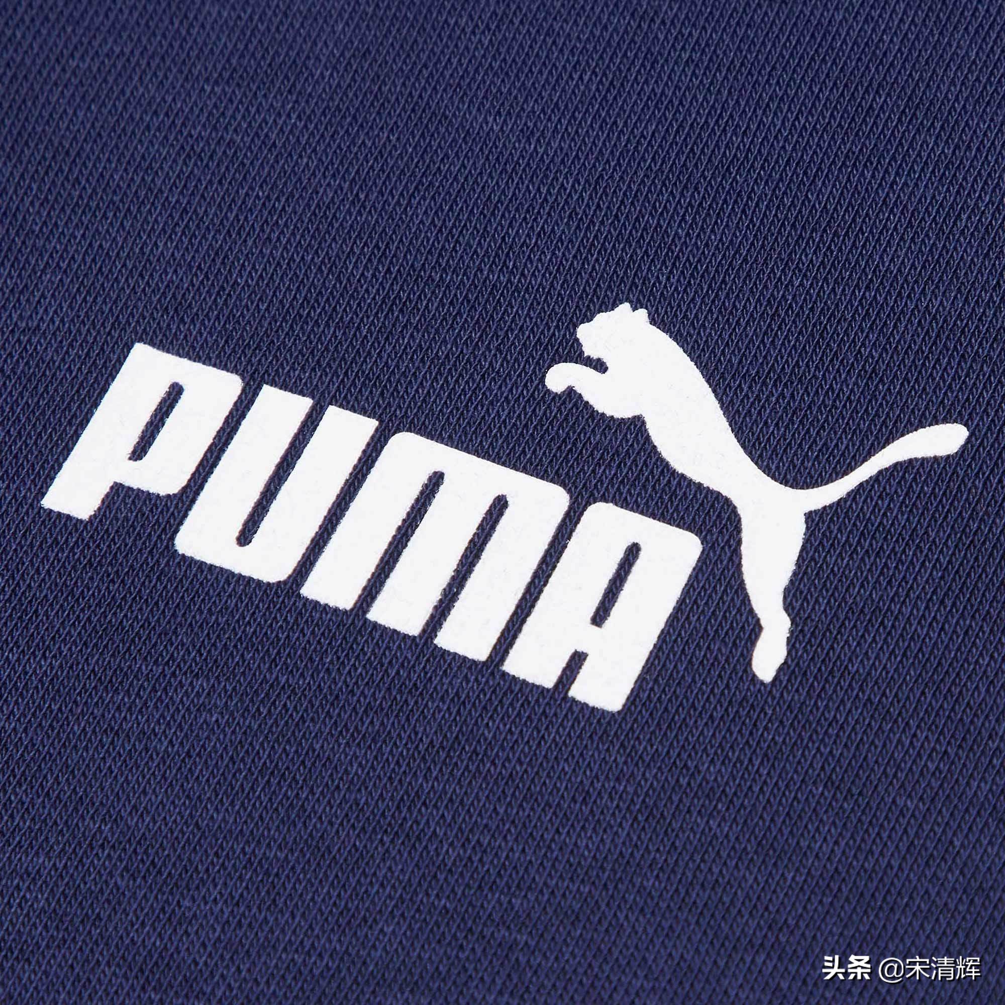 宋清辉最近的发展,宋清辉为什么成了专家