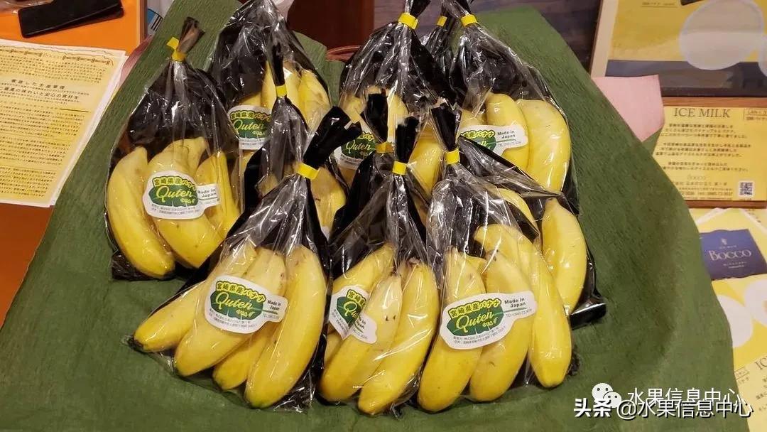 日本农业发达到什么程度?荔枝、香蕉、菠萝竟然用温室来种