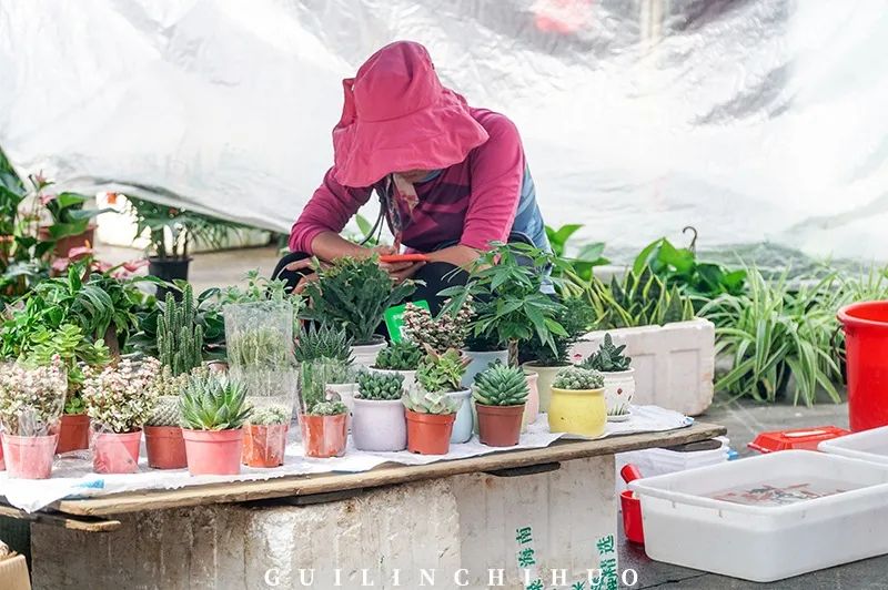 灵川县商贸城,灵川县县城商贸城