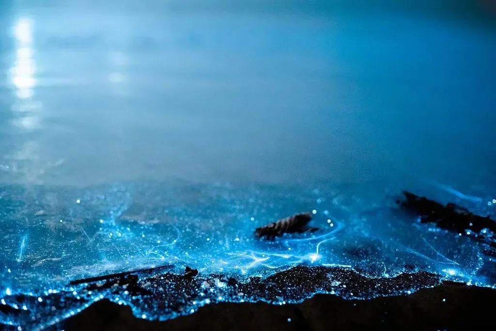 平潭海岛坛南湾,平潭坛南湾海岛