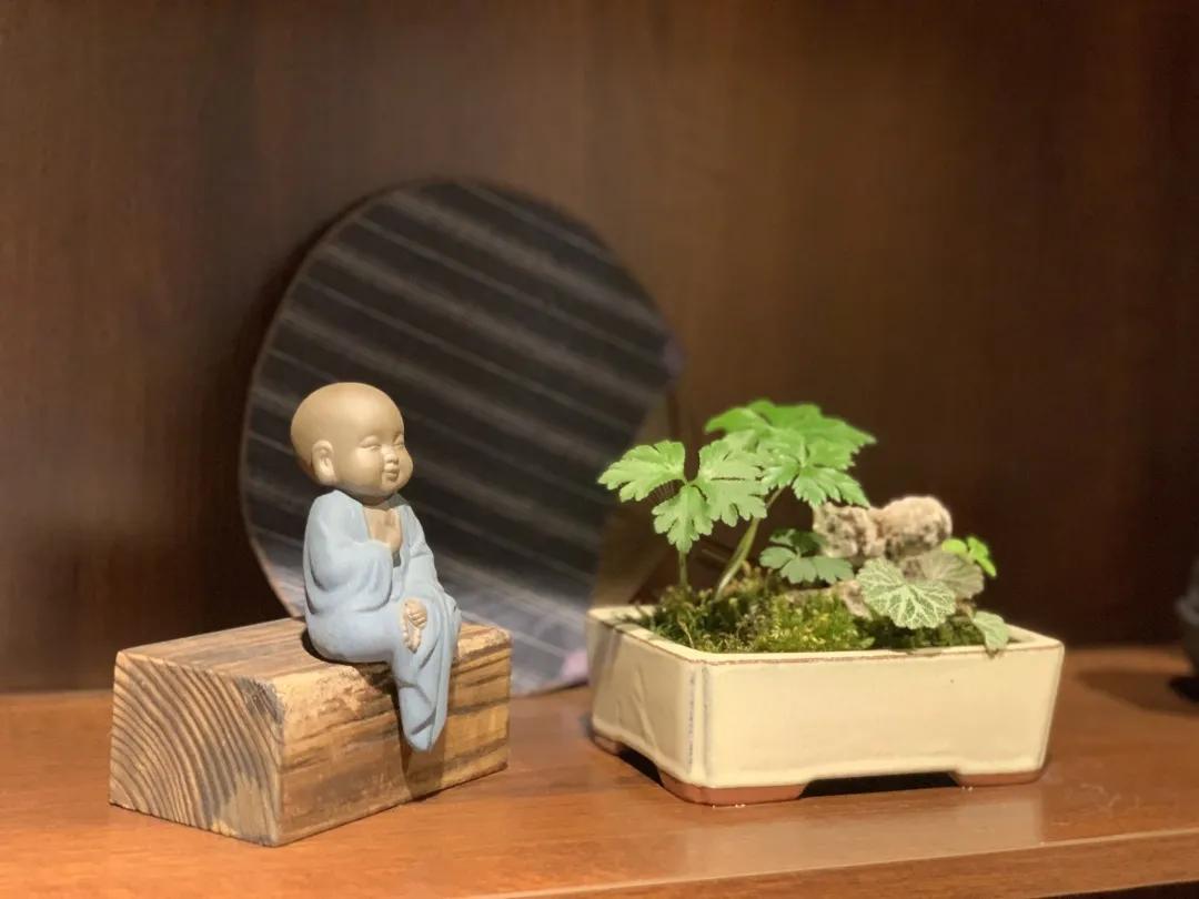 用阅读触摸成都|在成都不能错过的10家书店(下)