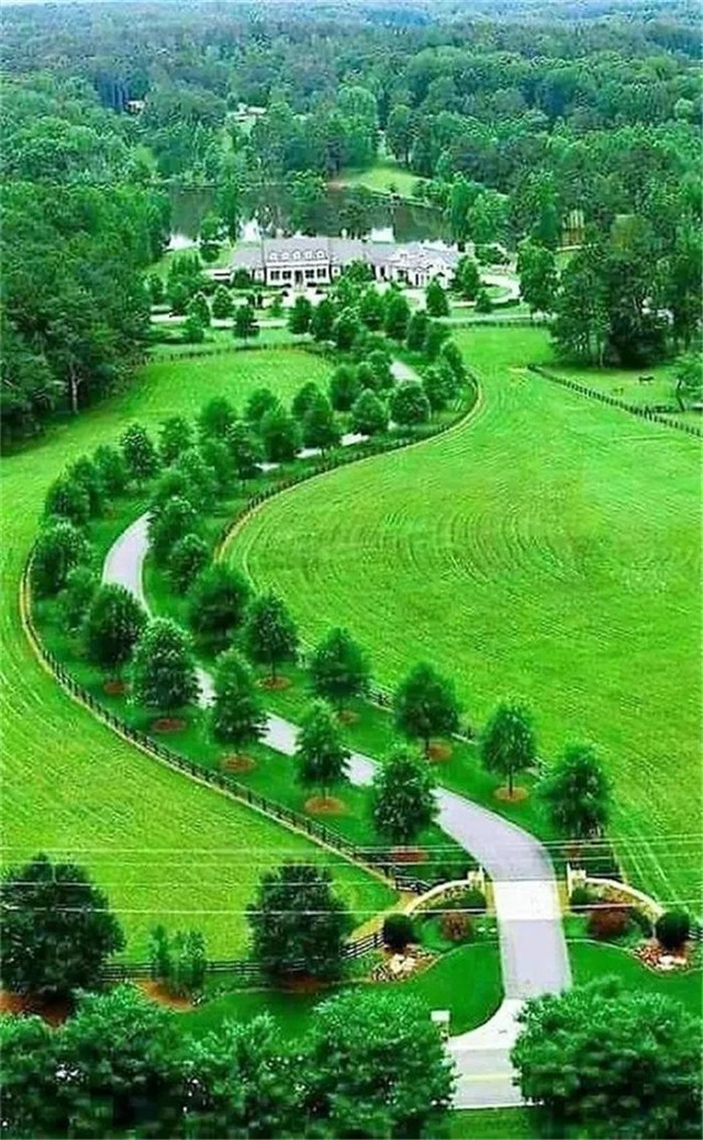 缓解眼睛疲劳壁纸颜色,缓解眼睛疲劳的壁纸高清