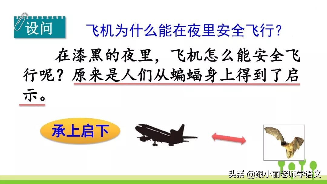 语文思维导图四年级上蝙蝠和雷达,人教版四年级上册蝙蝠和雷达朗读