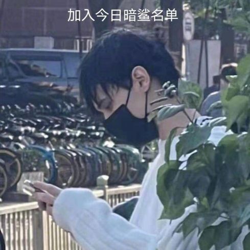 真顶流，利路修，登上澳大利亚节目和国内外各大报纸