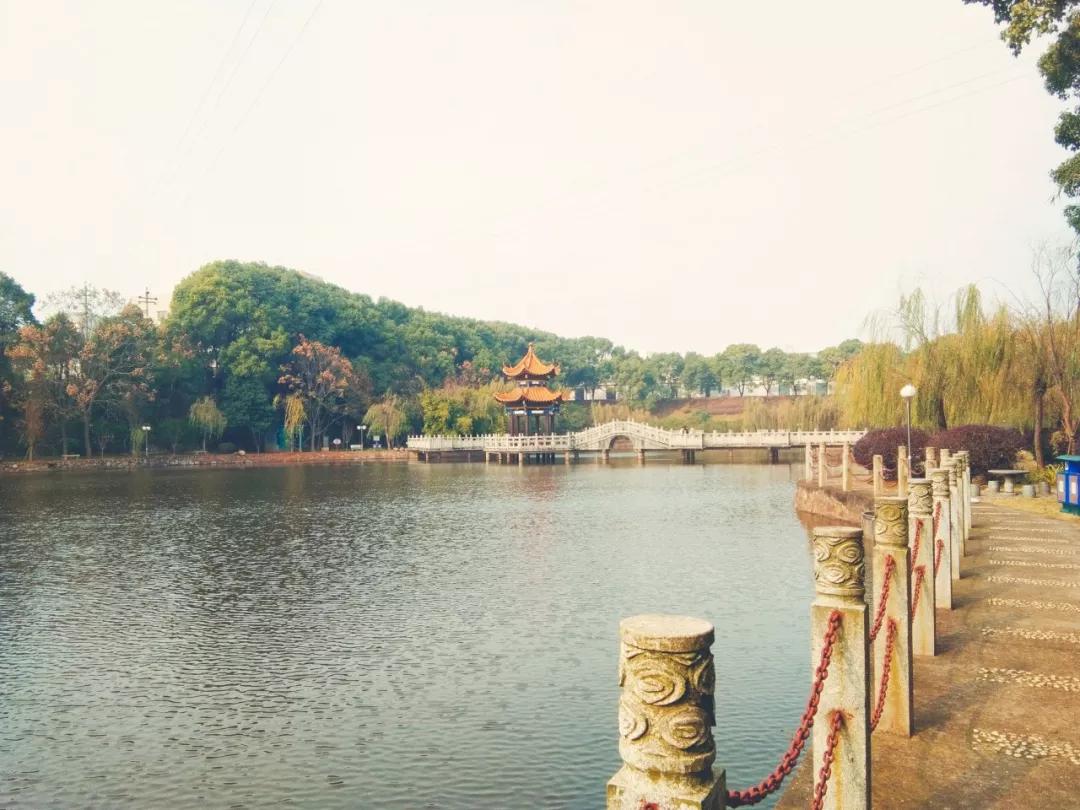 一生必背50首宋诗,一生必背60首宋诗大全