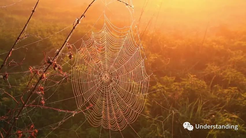 会讲故事的人才是好人,会讲故事的人活得更好