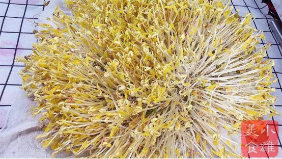 吃了几十年豆芽,怎么自己发豆芽最好吃