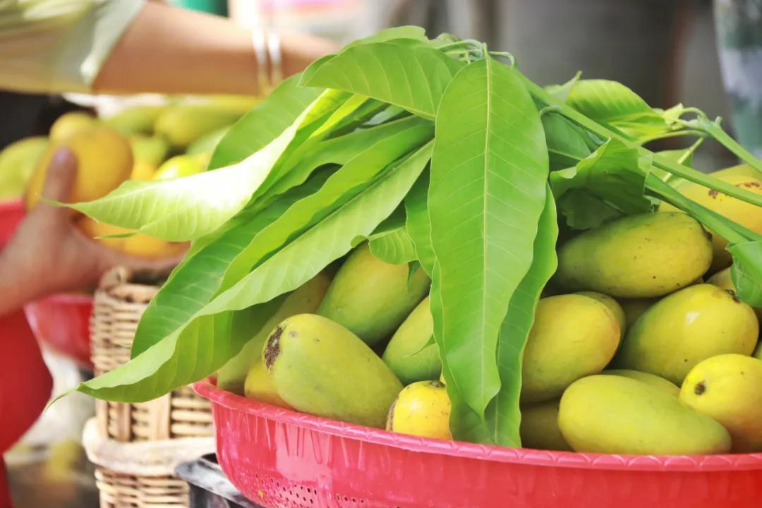 鍛宠暰娼畨,鍛宠暰鏂界敻