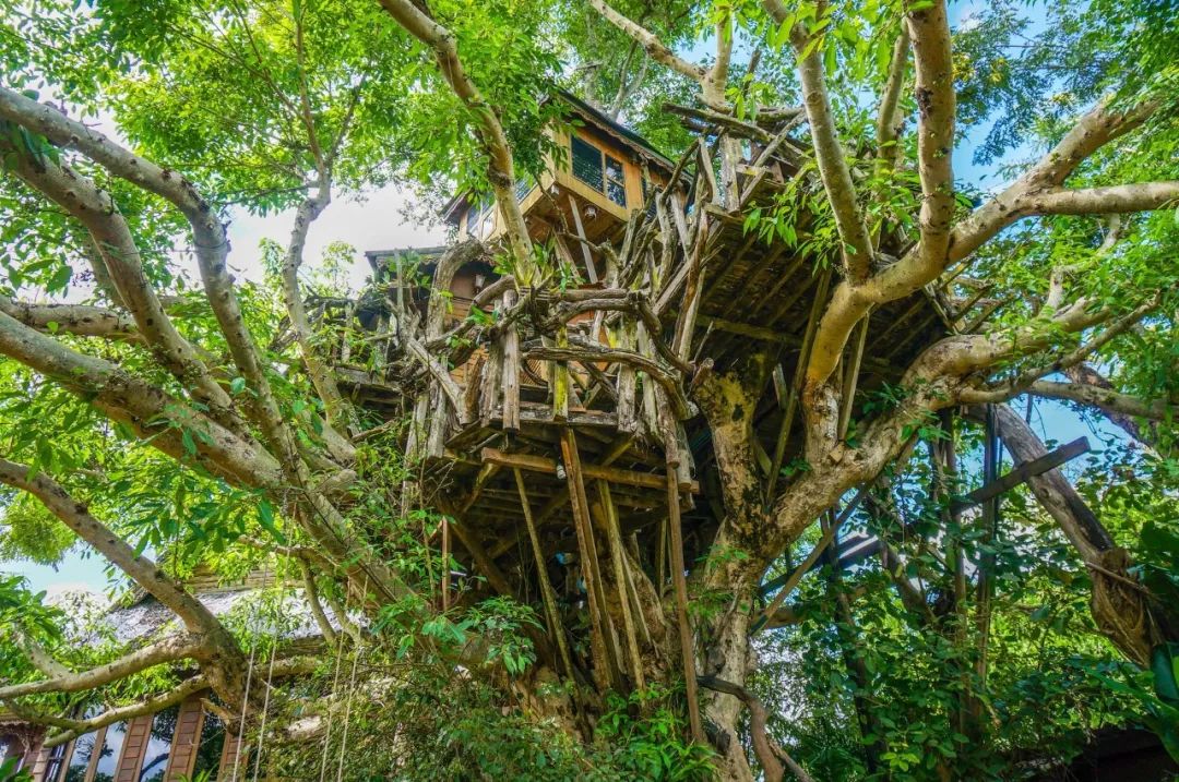 泰国免落地签费，这回是真的了！