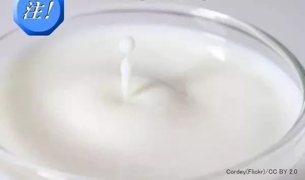 对猫有毒的植物气味也不能闻吗,对猫有毒的食物