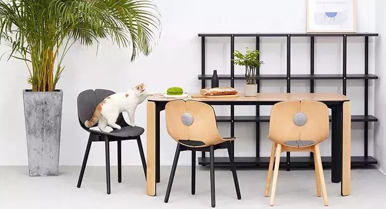 贵的家具好在哪里,高档家具怎么买最便宜又实惠